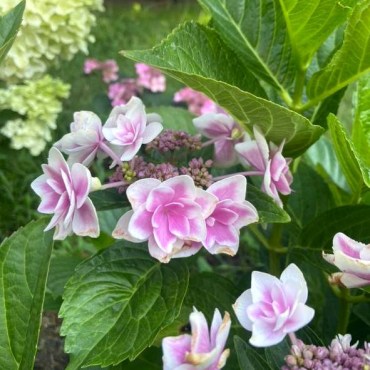 photo_2024-11-23_09-45-36